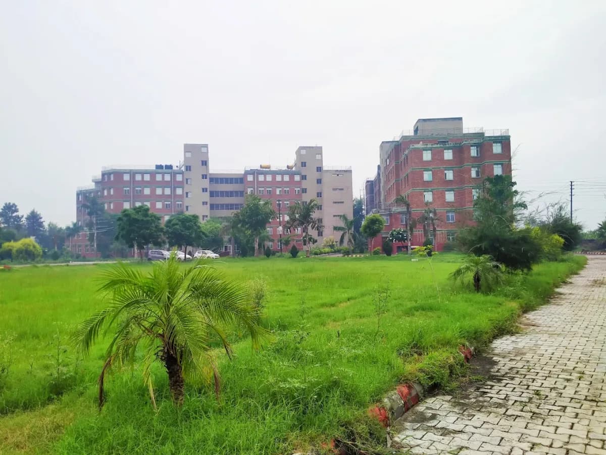 Vidya Institute of Fashion Technology