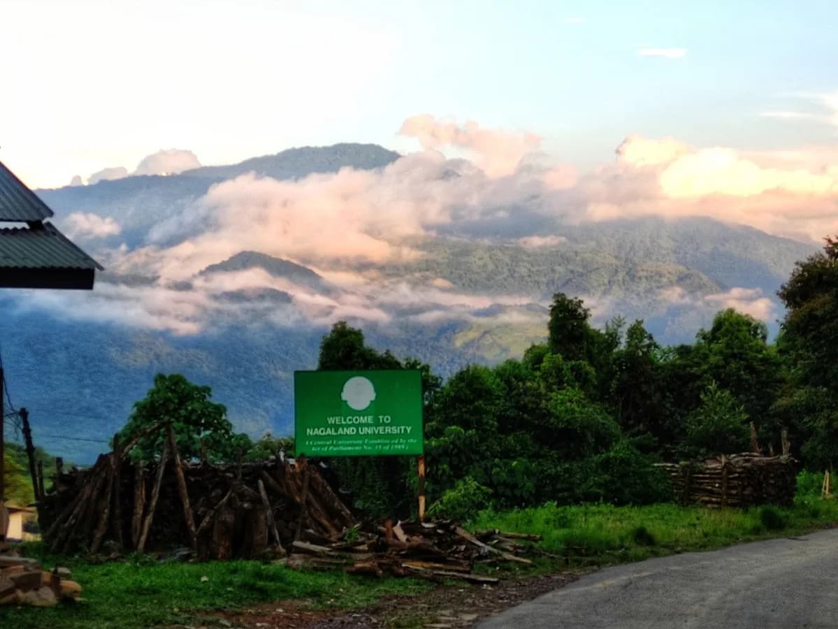 Nagaland University