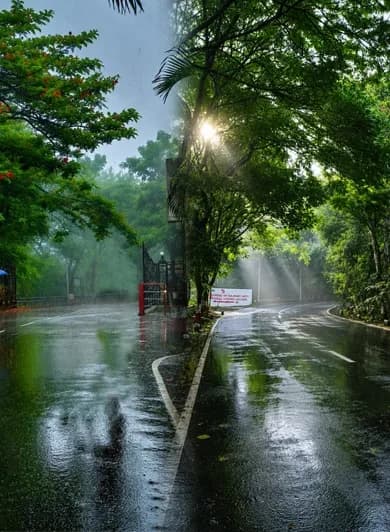 Symbiosis International (Deemed University), Pune