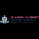 Palamuru University,  Mahabubnagar logo