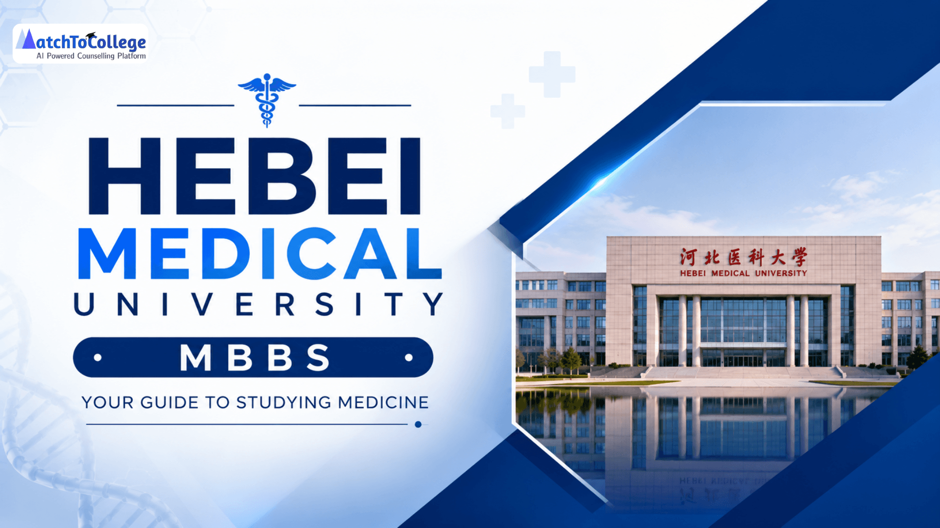 Hebei Medical University MBBS: Your Guide to Studying Medicine