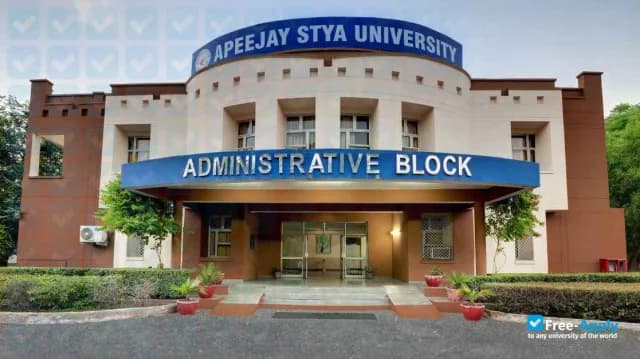 Apeejay Stya University