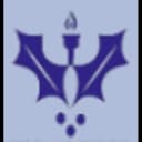 BM Group of Institutions logo